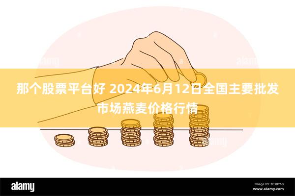 那个股票平台好 2024年6月12日全国主要批发市场燕麦价格行情