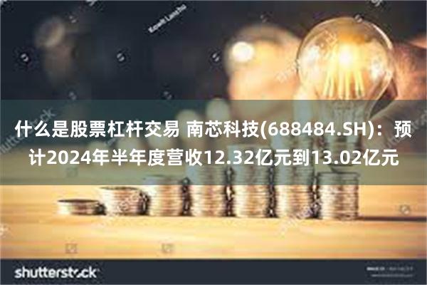 什么是股票杠杆交易 南芯科技(688484.SH)：预计2024年半年度营收12.32亿元到13.02亿元