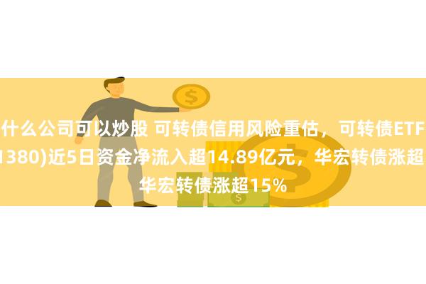 什么公司可以炒股 可转债信用风险重估，可转债ETF(511380)近5日资金净流入超14.89亿元，华宏转债涨超15%