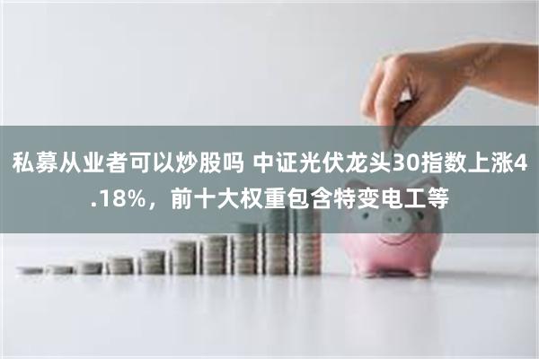 私募从业者可以炒股吗 中证光伏龙头30指数上涨4.18%，前十大权重包含特变电工等