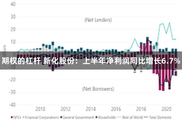 期权的杠杆 新化股份：上半年净利润同比增长6.7%