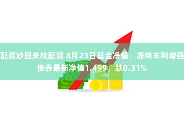 配资炒股来找配资 8月23日基金净值：浙商丰利增强债券最新净值1.499，跌0.31%