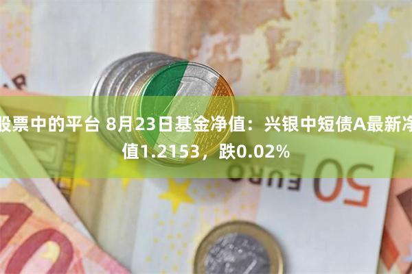 股票中的平台 8月23日基金净值：兴银中短债A最新净值1.2153，跌0.02%