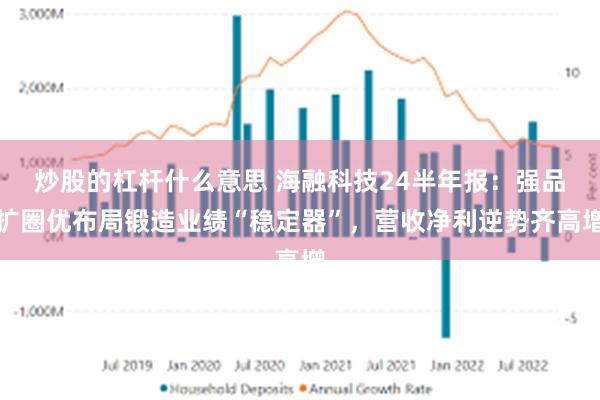 炒股的杠杆什么意思 海融科技24半年报：强品扩圈优布局锻造业绩“稳定器”，营收净利逆势齐高增