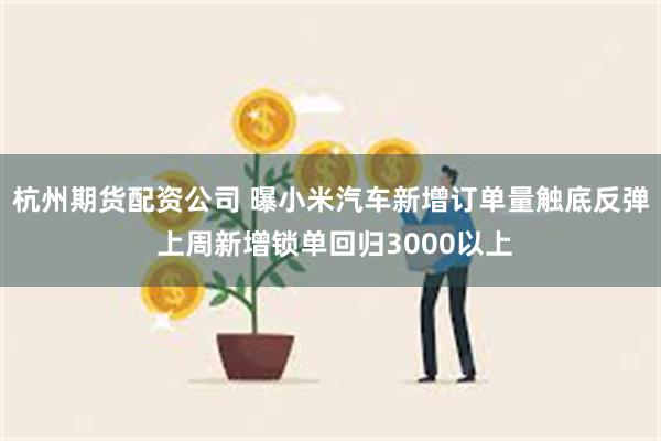 杭州期货配资公司 曝小米汽车新增订单量触底反弹 上周新增锁单回归3000以上