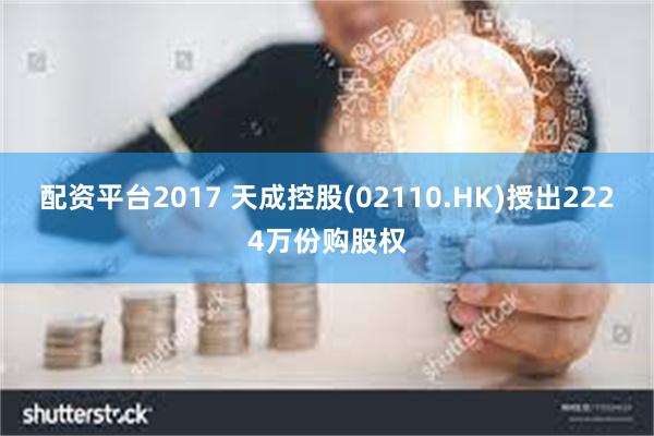 配资平台2017 天成控股(02110.HK)授出2224万份购股权