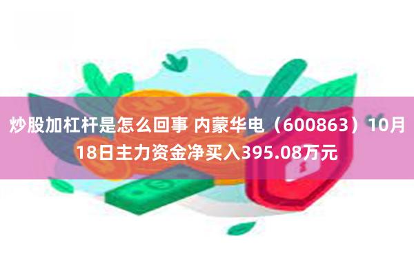 炒股加杠杆是怎么回事 内蒙华电（600863）10月18日主力资金净买入395.08万元