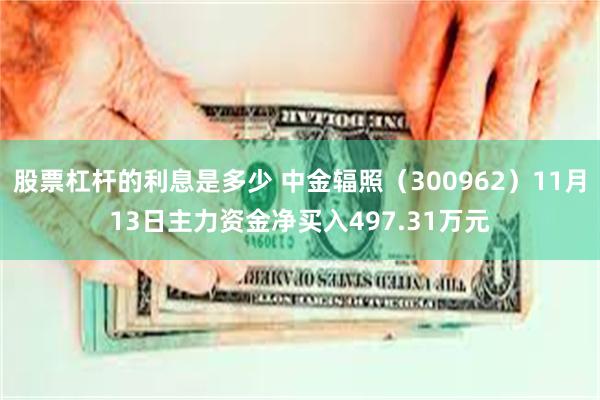 股票杠杆的利息是多少 中金辐照（300962）11月13日主力资金净买入497.31万元