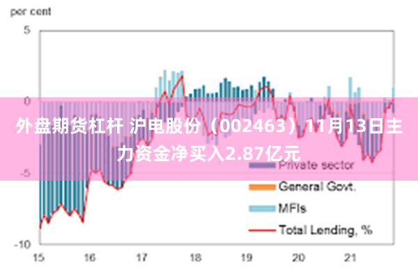 外盘期货杠杆 沪电股份（002463）11月13日主力资金净买入2.87亿元