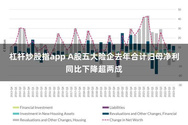 杠杆炒股指app A股五大险企去年合计归母净利同比下降超两成