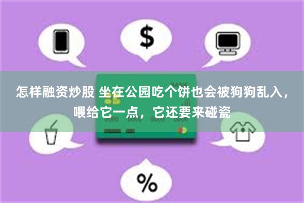 怎样融资炒股 坐在公园吃个饼也会被狗狗乱入，喂给它一点，它还要来碰瓷