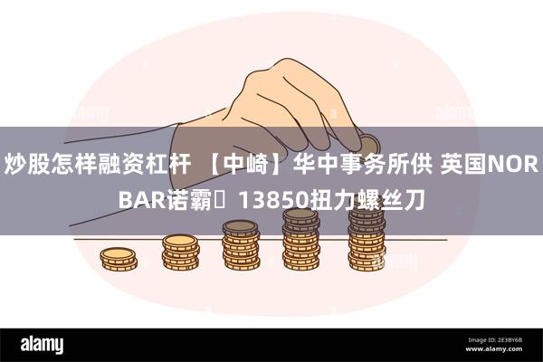 炒股怎样融资杠杆 【中崎】华中事务所供 英国NORBAR诺霸​13850扭力螺丝刀