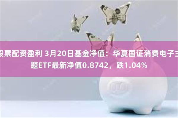 股票配资盈利 3月20日基金净值：华夏国证消费电子主题ETF最新净值0.8742，跌1.04%